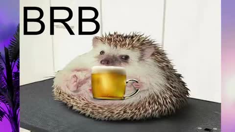 Snapshot of asheluck chatting on February 16, 8:22 pm AshleyAshe online show from February 16, 8:22 pm