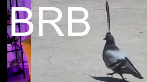 Snapshot of asheluck chatting on March 7, 5:08 am AshleyAshe online show from March 7, 5:08 am