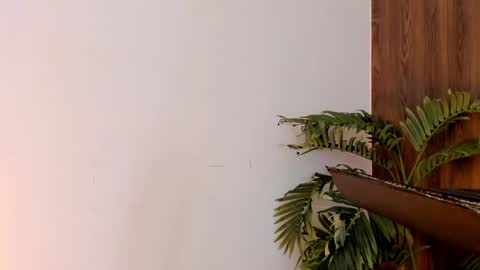 my name real is camilo online show from December 28, 7:11 am