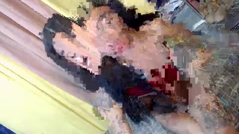 Snapshot of asian_kimxxx chatting on January 30, 2:58 pm don online show from January 30, 2:58 pm