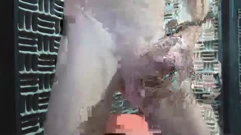 aussieraz online show from December 16, 8:20 am