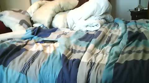 Austin online show from October 15, 10:26 am