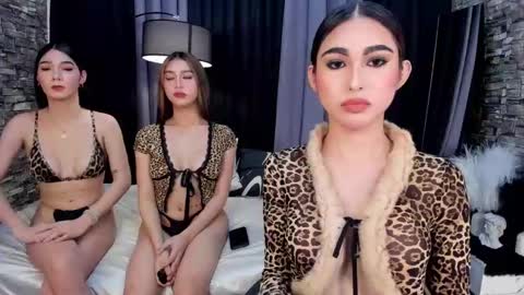 Snapshot of avimiller chatting on February 8, 5:39 pm avimiller online show from February 8, 5:39 pm