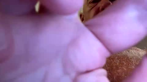 benito online show from September 28, 7:52 pm