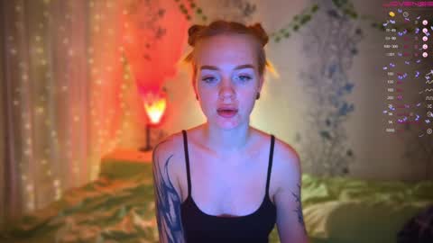 maddy online show from February 7, 1:43 pm