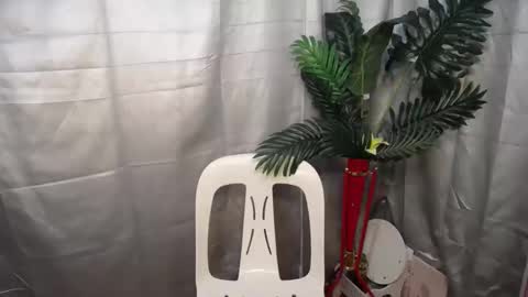 Nexie online show from October 9, 2:53 am