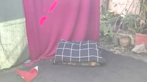 bad_wolf28 online show from November 25, 10:26 am