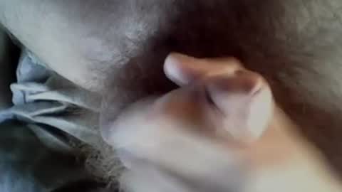 Baghira online show from September 27, 8:30 am