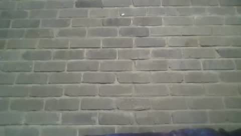 Chaterlain online show from January 5, 2:41 pm