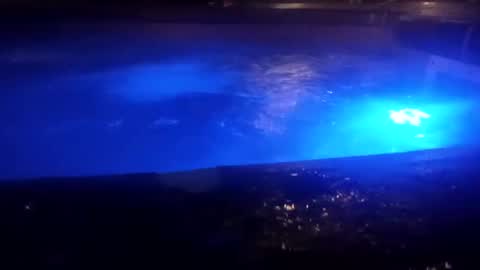 Snapshot of bakerbeachismygig chatting on December 9, 4:45 am bakerbeachismygig online show from December 9, 4:45 am