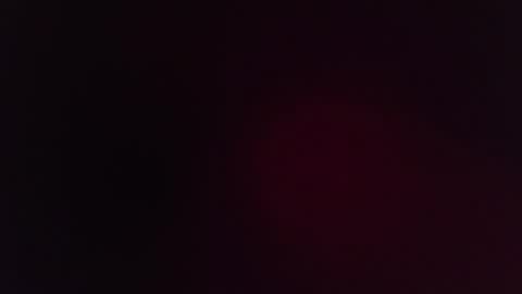 bambifarrina online show from October 9, 2:59 pm