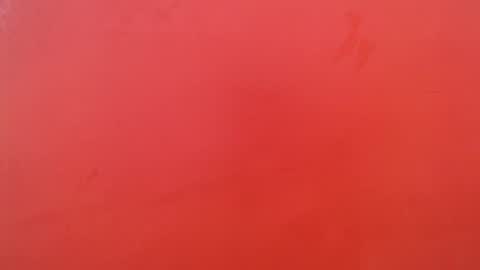 bayonette_black online show from October 24, 1:07 pm