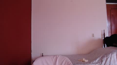 bayonette_black online show from November 9, 7:01 pm