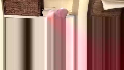 BeachGuy online show from November 18, 4:44 pm