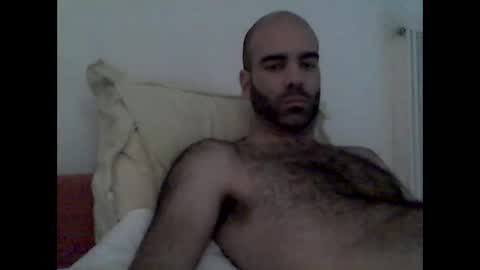 bear14250949 online show from November 16, 11:38 am