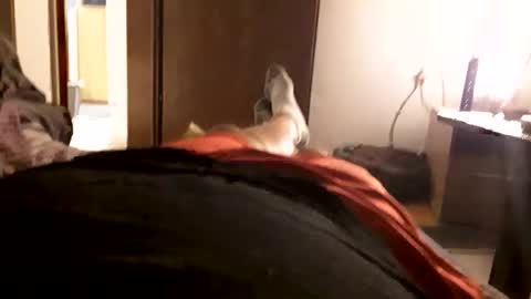 bec44596424 online show from February 25, 11:41 am