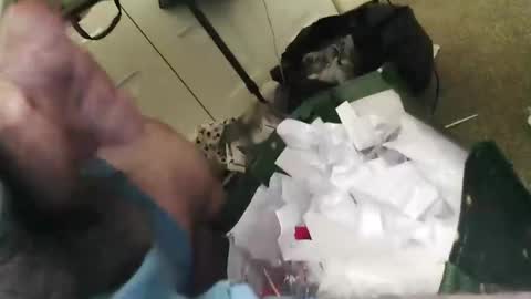 beenallover92 online show from January 22, 2:03 pm