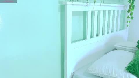 BELA online show from November 12, 11:43 am