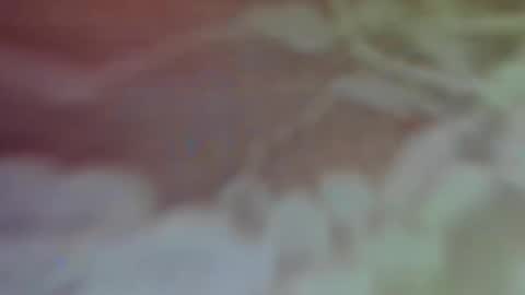 Bella Porch online show from February 26, 2:59 am