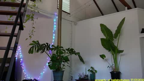 BELLE   online show from January 18, 4:48 am