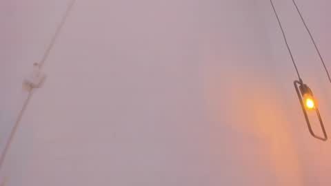 Bellota Flak online show from December 28, 8:26 am