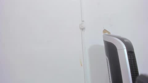 Bellota Flak online show from December 30, 8:32 am