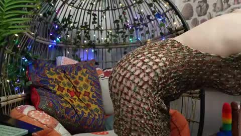 Willow online show from November 17, 10:15 pm