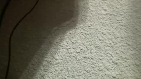 Bigfish123 online show from February 4, 5:21 am