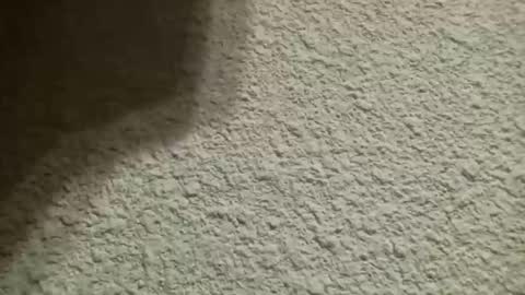 Bigfish123 online show from October 10, 4:44 am