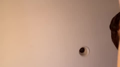 Snapshot of bgiamba21 chatting on October 16, 3:40 am bgiamba21 online show from October 16, 3:40 am