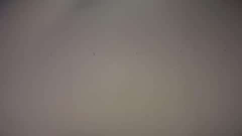 Snapshot of biff_beaverhausen chatting on November 1, 11:34 am Biff Beaverhousen online show from November 1, 11:34 am