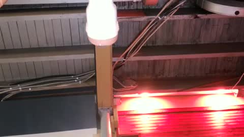 Straight Dave online show from October 9, 10:08 pm