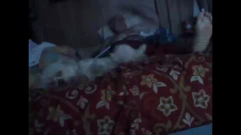 BB online show from October 20, 1:28 am