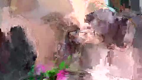 Artura online show from December 18, 7:19 pm