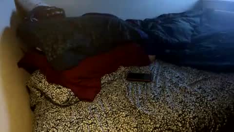 bigdickpapishampoo online show from November 8, 7:52 am