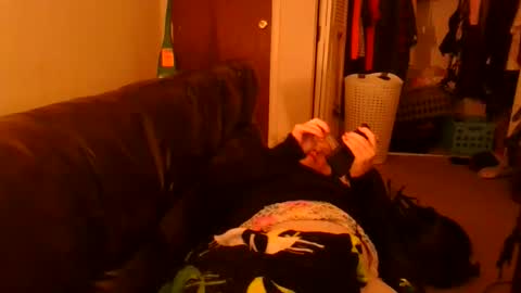 Snapshot of bigdogmattiets chatting on December 3, 4:31 am Madelyn online show from December 3, 4:31 am