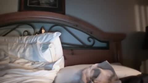 bigload1972 online show from January 22, 3:09 am