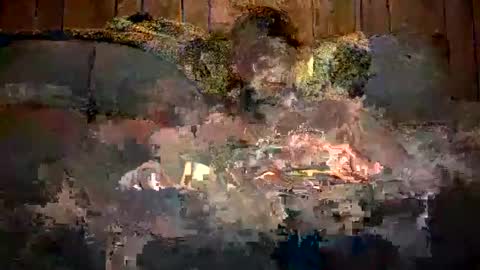 bigwytecock1979 online show from December 11, 7:31 am