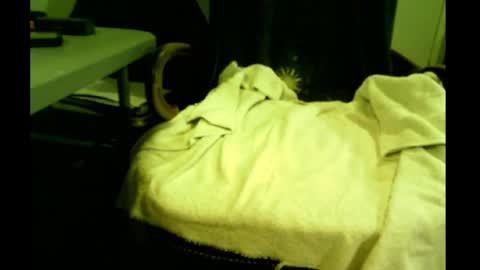 Snapshot of bimale4hotphuk chatting on February 21, 7:45 am bimale4hotphuk online show from February 21, 7:45 am