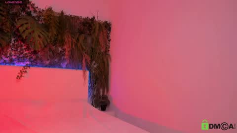 Jenny online show from December 12, 2:55 pm