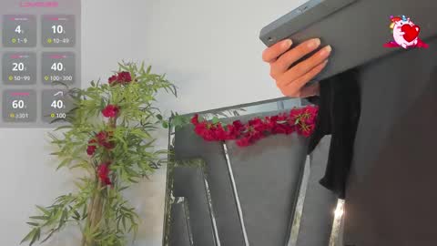 B L A C K  R O S E  online show from February 20, 11:31 am