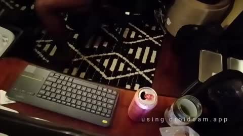 Blackjag00 online show from February 14, 5:41 am