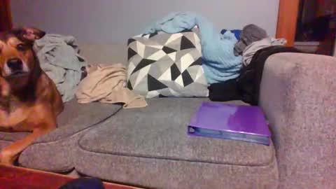 blaw_1321 online show from September 19, 7:43 am