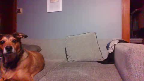 blaw_1321 online show from October 16, 7:20 am