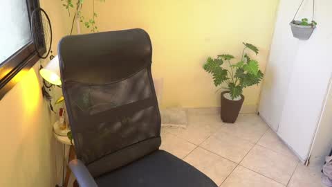 FLORAA online show from January 10, 2:45 pm