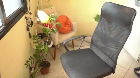 FLORAA online show from January 15, 4:43 pm