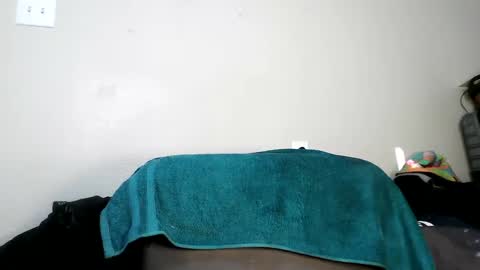 bobbiebone and company online show from January 9, 8:11 pm