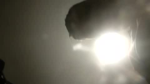 Snapshot of bobby160968 chatting on February 24, 6:26 pm bobby160968 online show from February 24, 6:26 pm