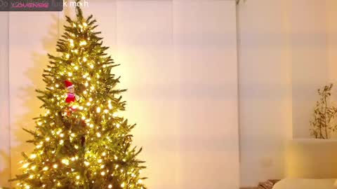 danna online show from December 11, 10:47 am