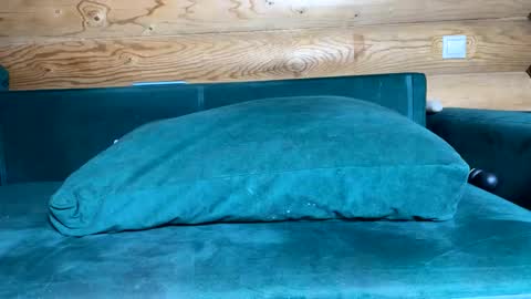 Nail and Olivia online show from October 21, 9:10 am